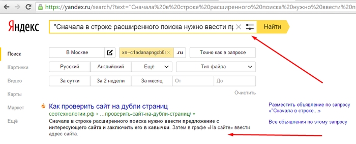 Поиск дублей страниц сайта в Яндексе фото
